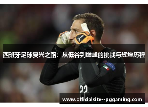 西班牙足球复兴之路：从低谷到巅峰的挑战与辉煌历程