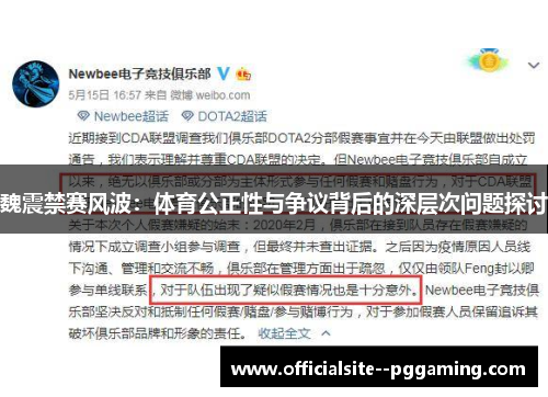 魏震禁赛风波：体育公正性与争议背后的深层次问题探讨