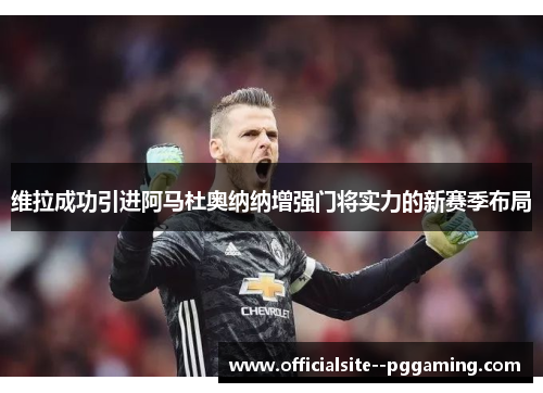 维拉成功引进阿马杜奥纳纳增强门将实力的新赛季布局