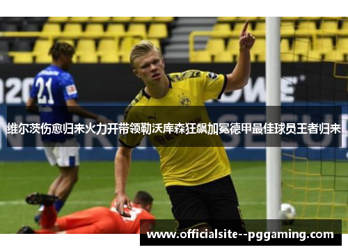 维尔茨伤愈归来火力开带领勒沃库森狂飙加冕德甲最佳球员王者归来