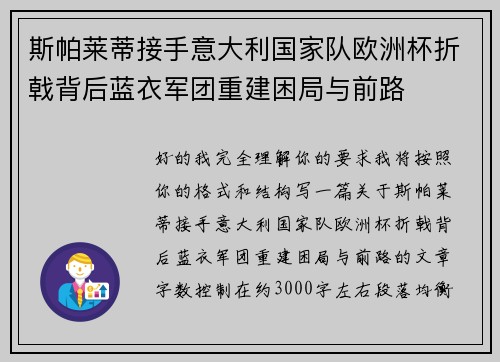 斯帕莱蒂接手意大利国家队欧洲杯折戟背后蓝衣军团重建困局与前路
